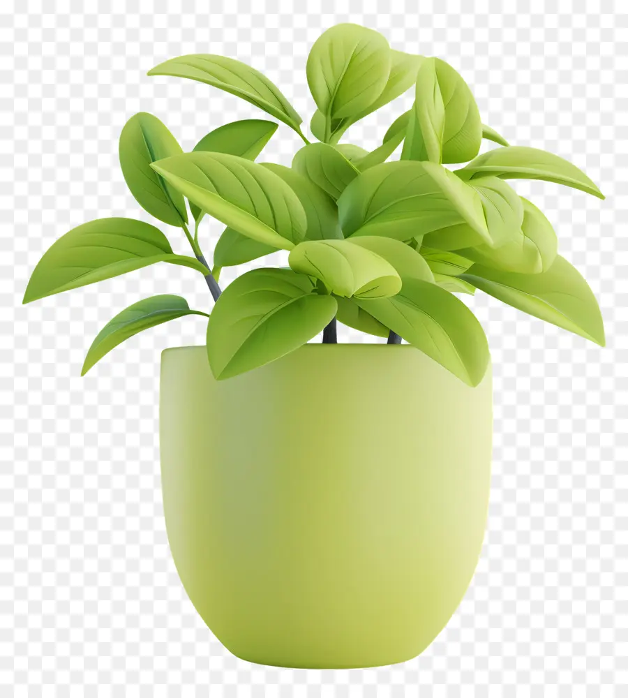 Planta Em Vaso，Planta Em Vaso Verde PNG