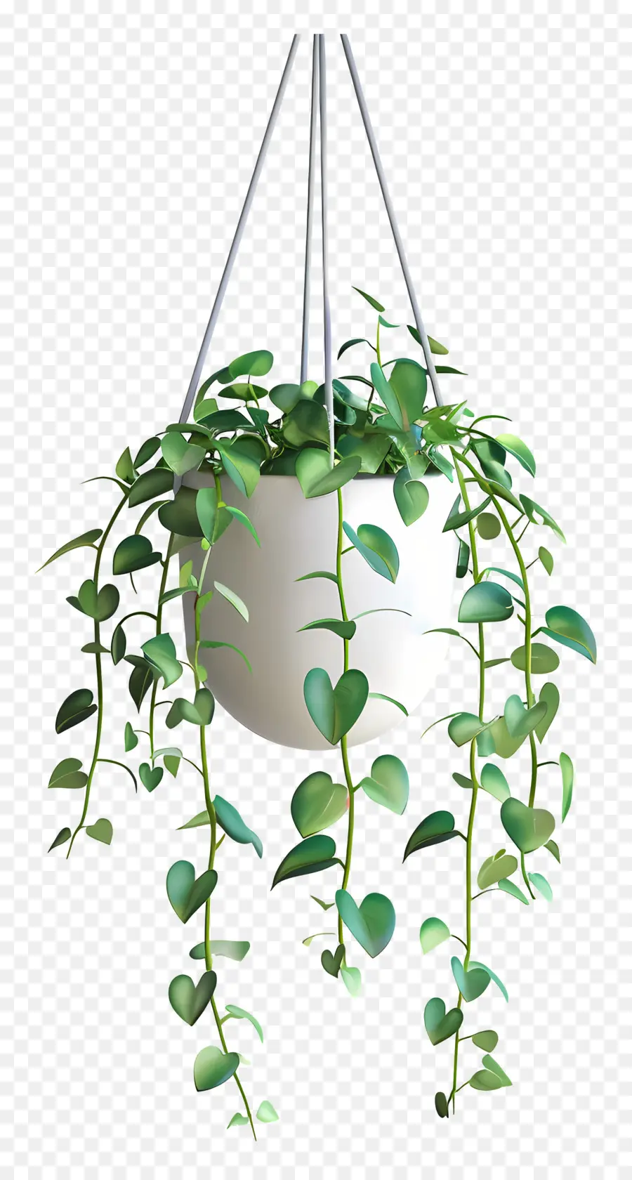 Planta Suspensa，Folhas PNG