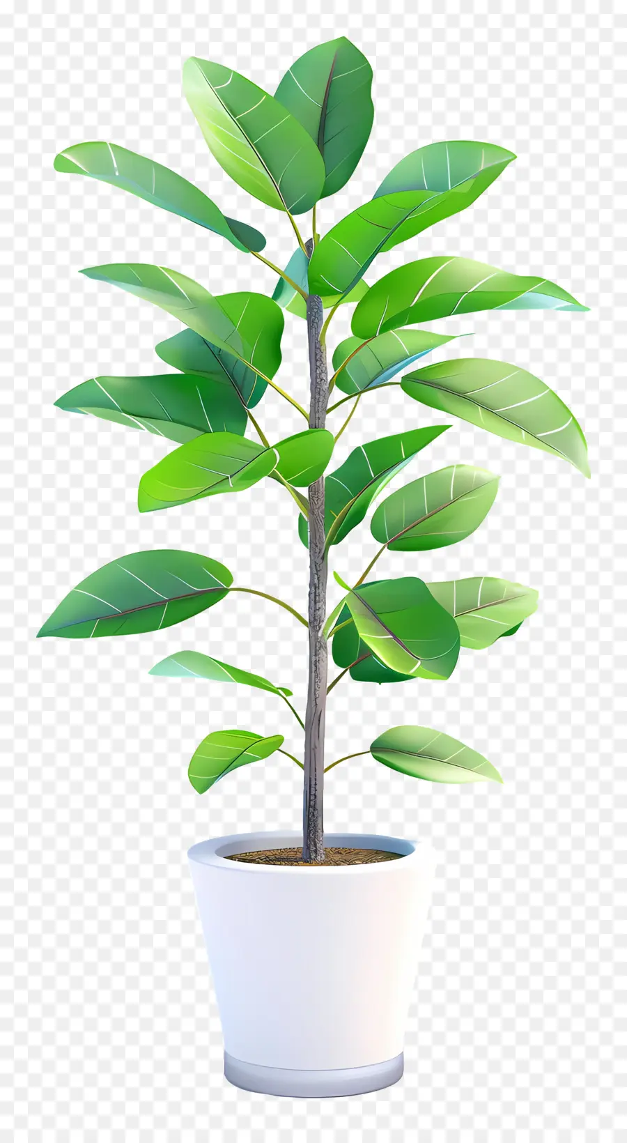 Planta Em Vaso，Folhas PNG