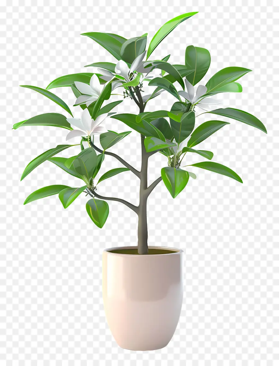 Planta Florescendo Em Vaso，Planta Em Vaso PNG