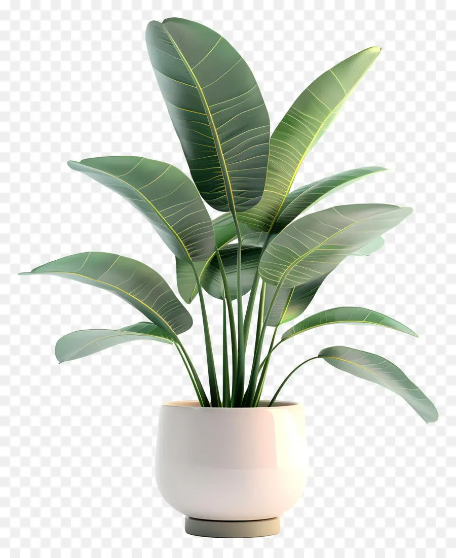 Planta Em Vaso，Planta Em Vaso Verde PNG