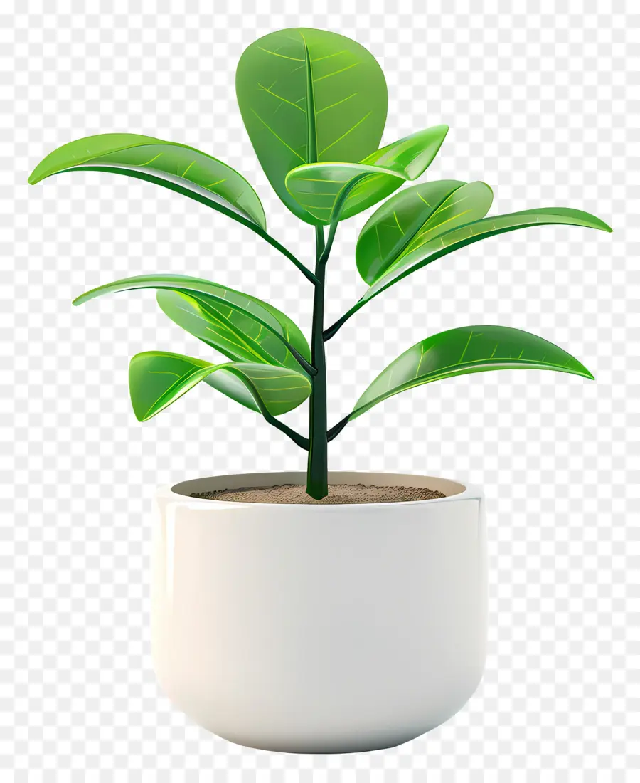 Planta Em Vaso，Planta Em Vaso Verde PNG