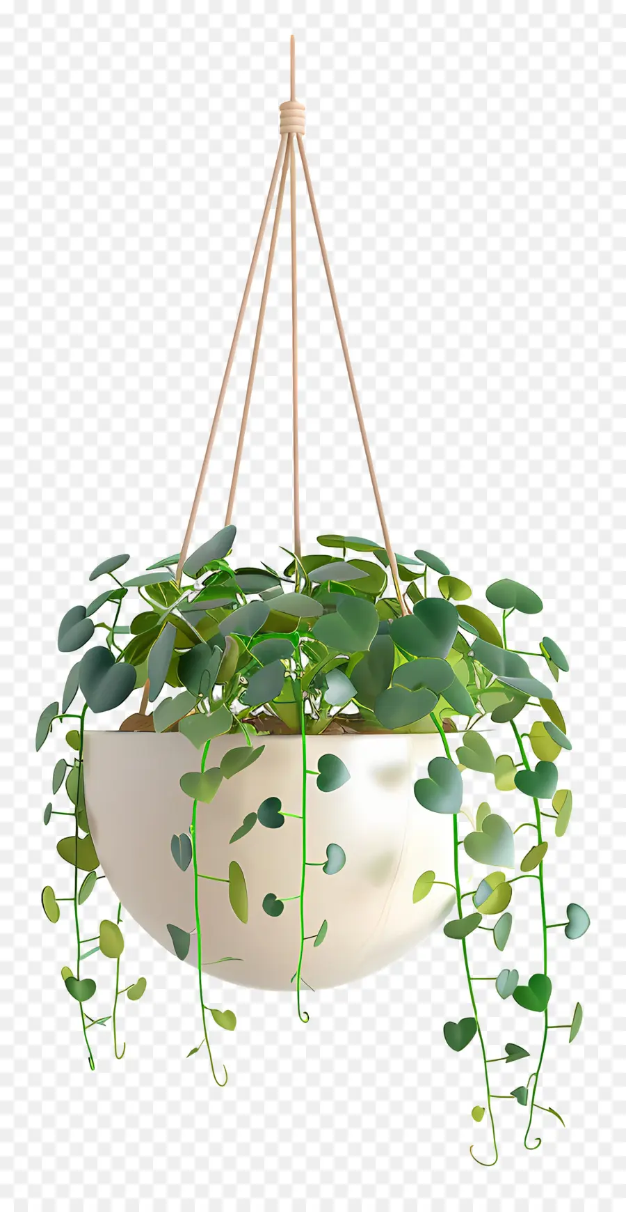 Planta Suspensa，Folhas PNG