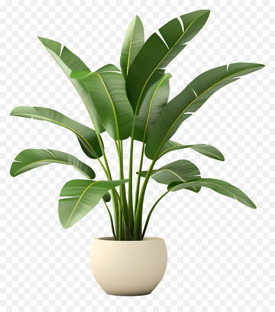 Planta Tropical Em Vaso，Planta Em Vaso Verde PNG