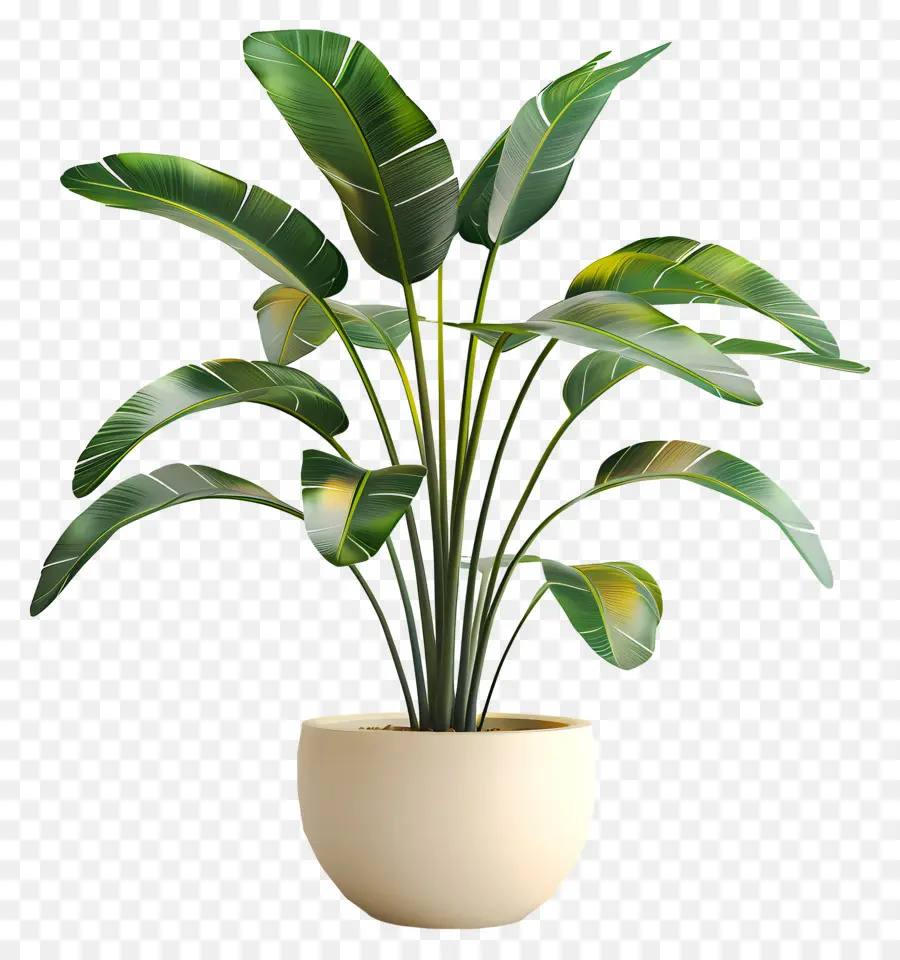 Planta Tropical Em Vaso，Planta Em Vaso PNG