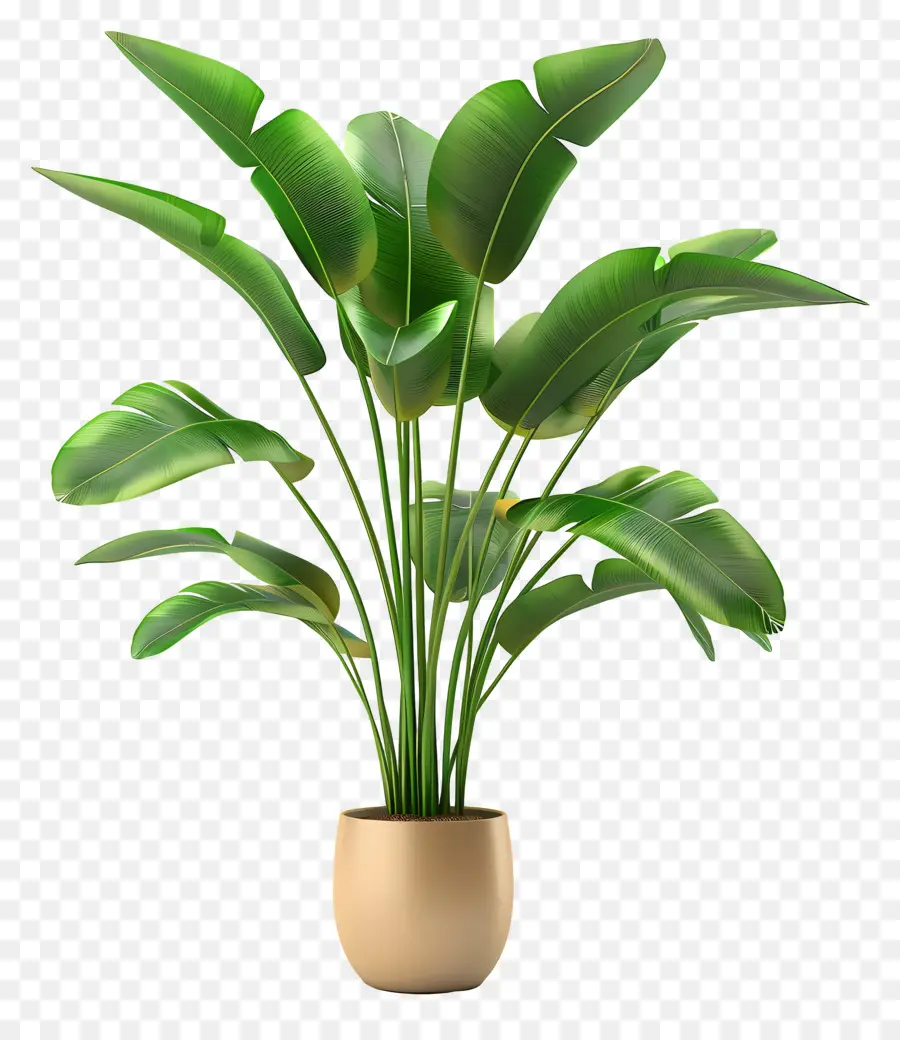 Planta Tropical Em Vaso，Planta Em Vaso PNG