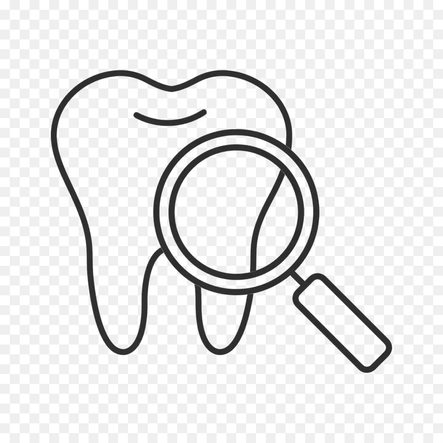 Verificação Dentária，Dente Com Lupa PNG