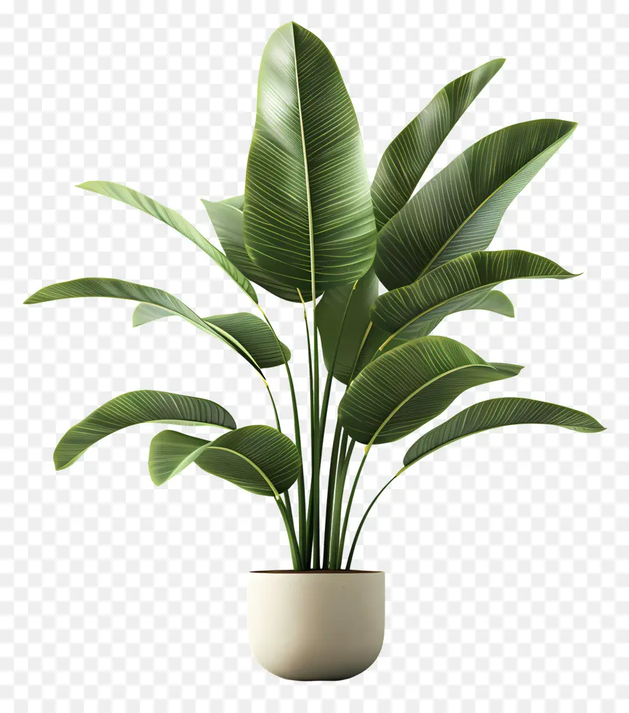 Planta Tropical Em Vaso，Planta Em Vaso Verde PNG