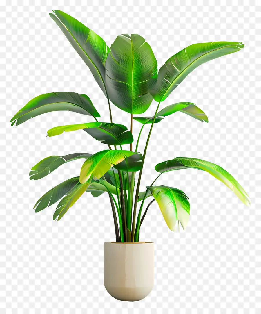 Planta Tropical Em Vaso，Planta Em Vaso Verde PNG