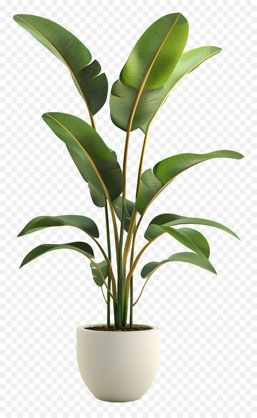 Planta Tropical Em Vaso，Planta Em Vaso Verde PNG