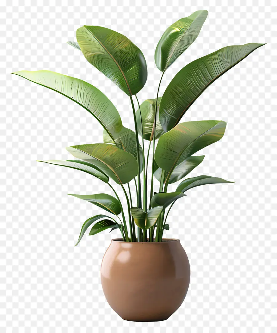 Planta Tropical Em Vaso，Planta Em Vaso Verde PNG