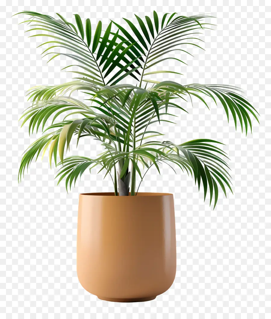 Planta Tropical Em Vaso，Planta Em Vaso PNG