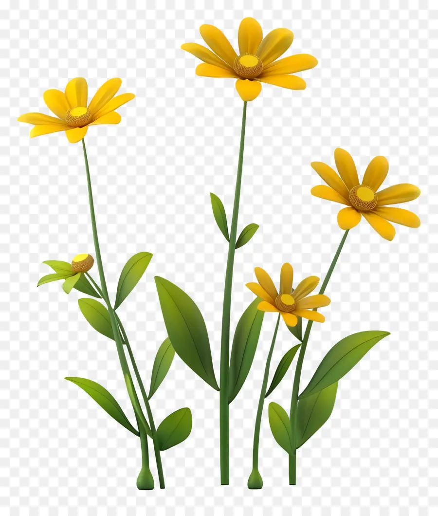 Flores Amarelas，Margaridas Simples PNG