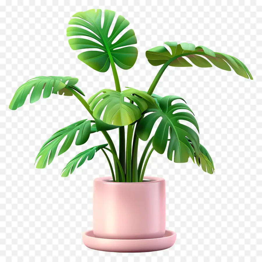 Planta Tropical Em Vaso，Planta Em Vaso PNG