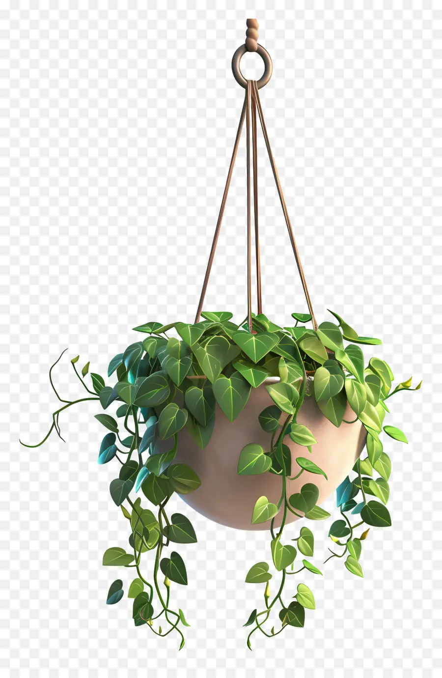 Planta Suspensa，Decoração PNG