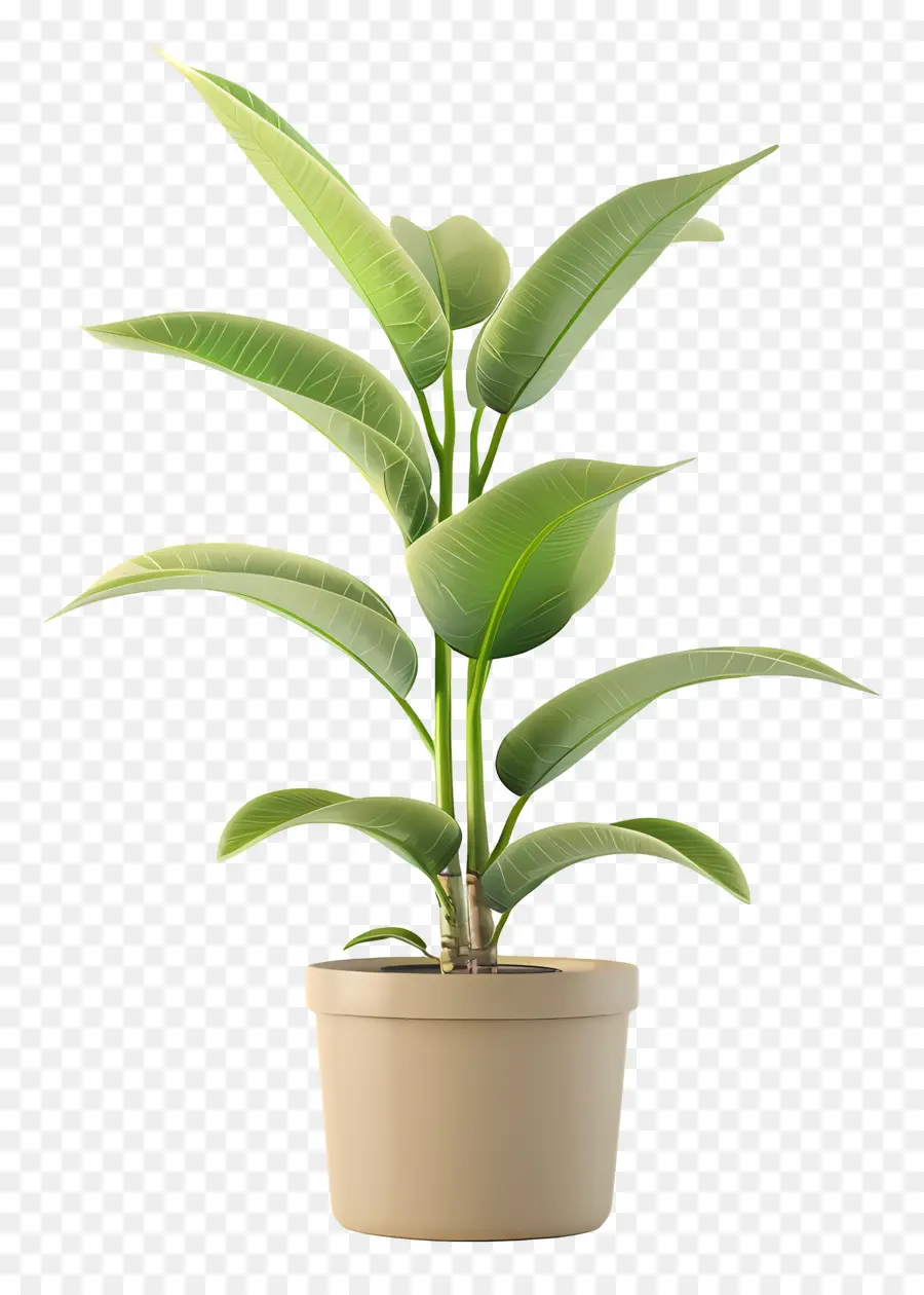 Planta Tropical Em Vaso，Planta Em Vaso Verde PNG