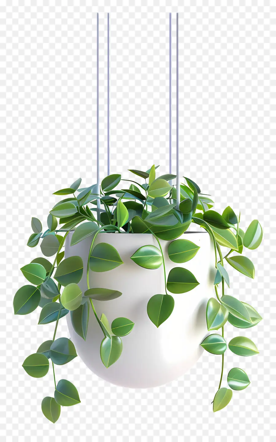 Planta Suspensa，Folhas PNG