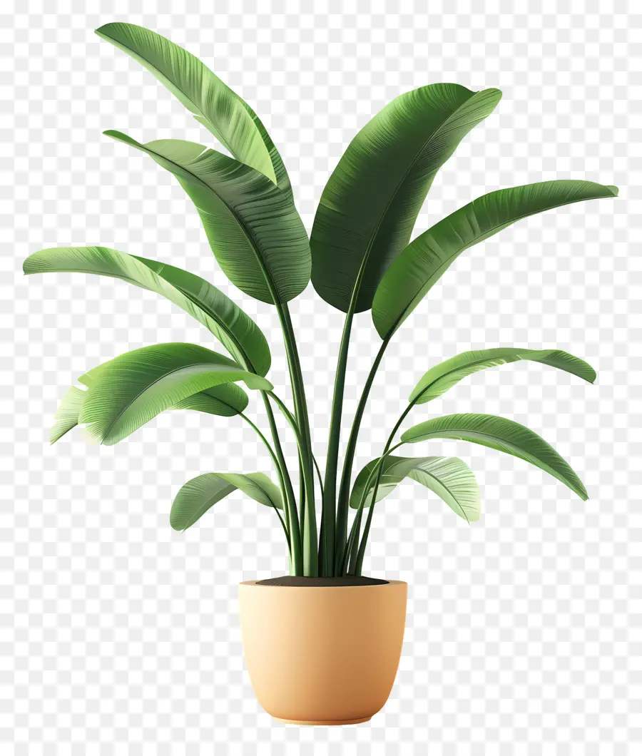 Planta Tropical Em Vaso，Planta Em Vaso PNG