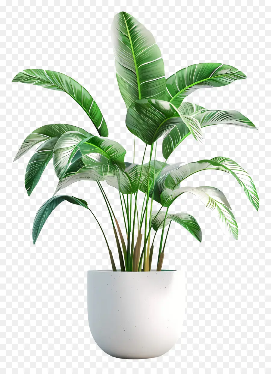 Planta Tropical Em Vaso，Planta Em Vaso Verde PNG