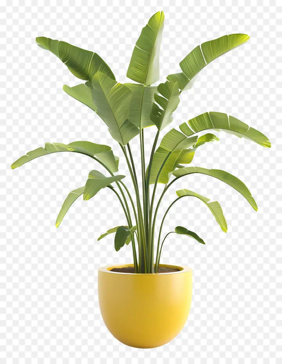 Planta Tropical Em Vaso，Planta Em Vaso Verde PNG