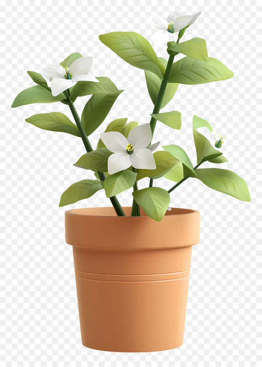 Planta Florescendo Em Vaso，Planta Em Vaso PNG