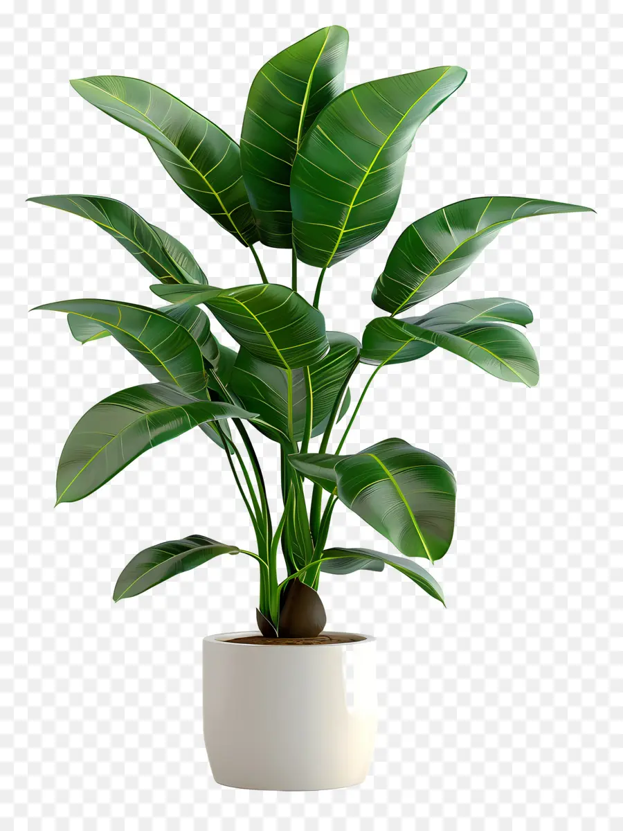 Planta Tropical Em Vaso，Planta Em Vaso Verde PNG