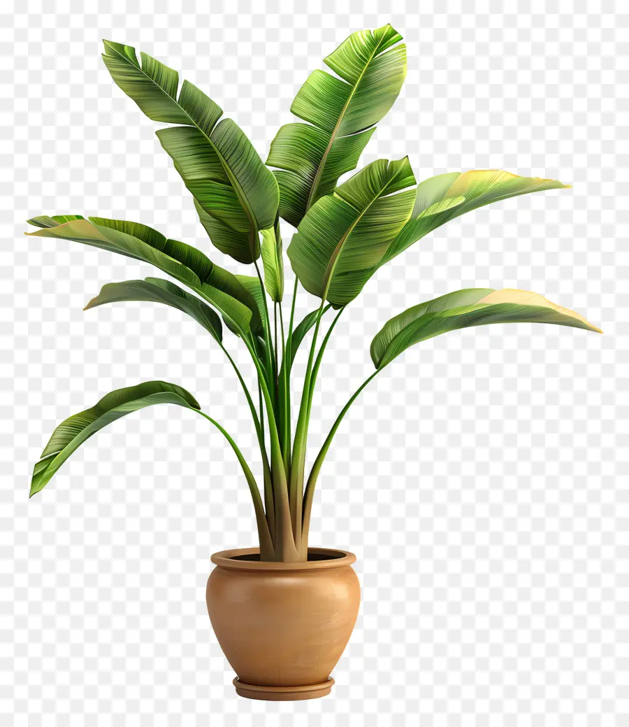 Planta Tropical Em Vaso，Planta Em Vaso Verde PNG