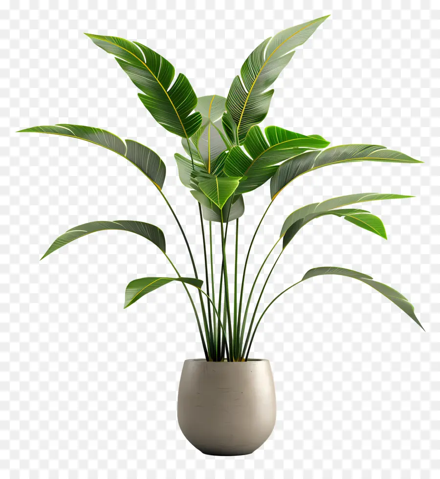 Planta Tropical Em Vaso，Planta Em Vaso Verde PNG