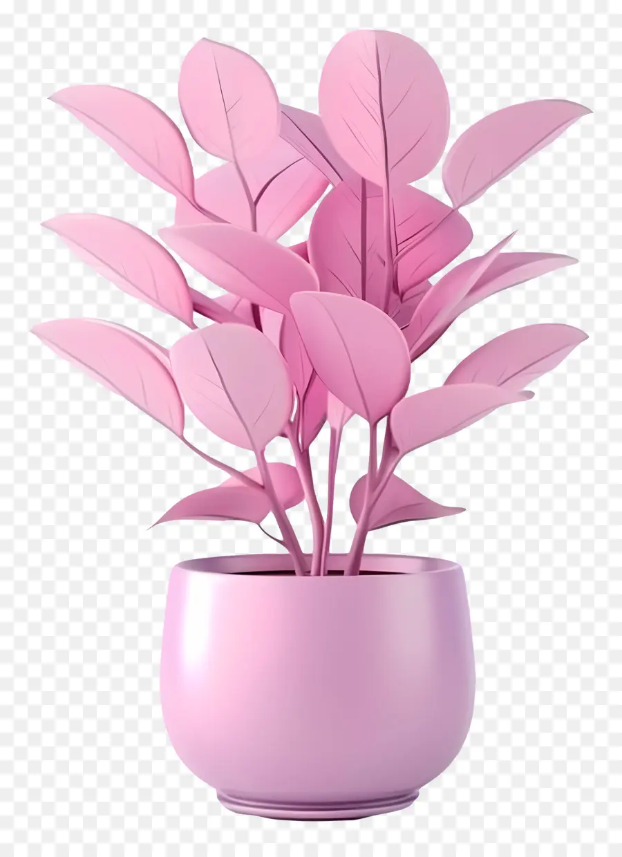 Planta Em Vaso，Folhas PNG