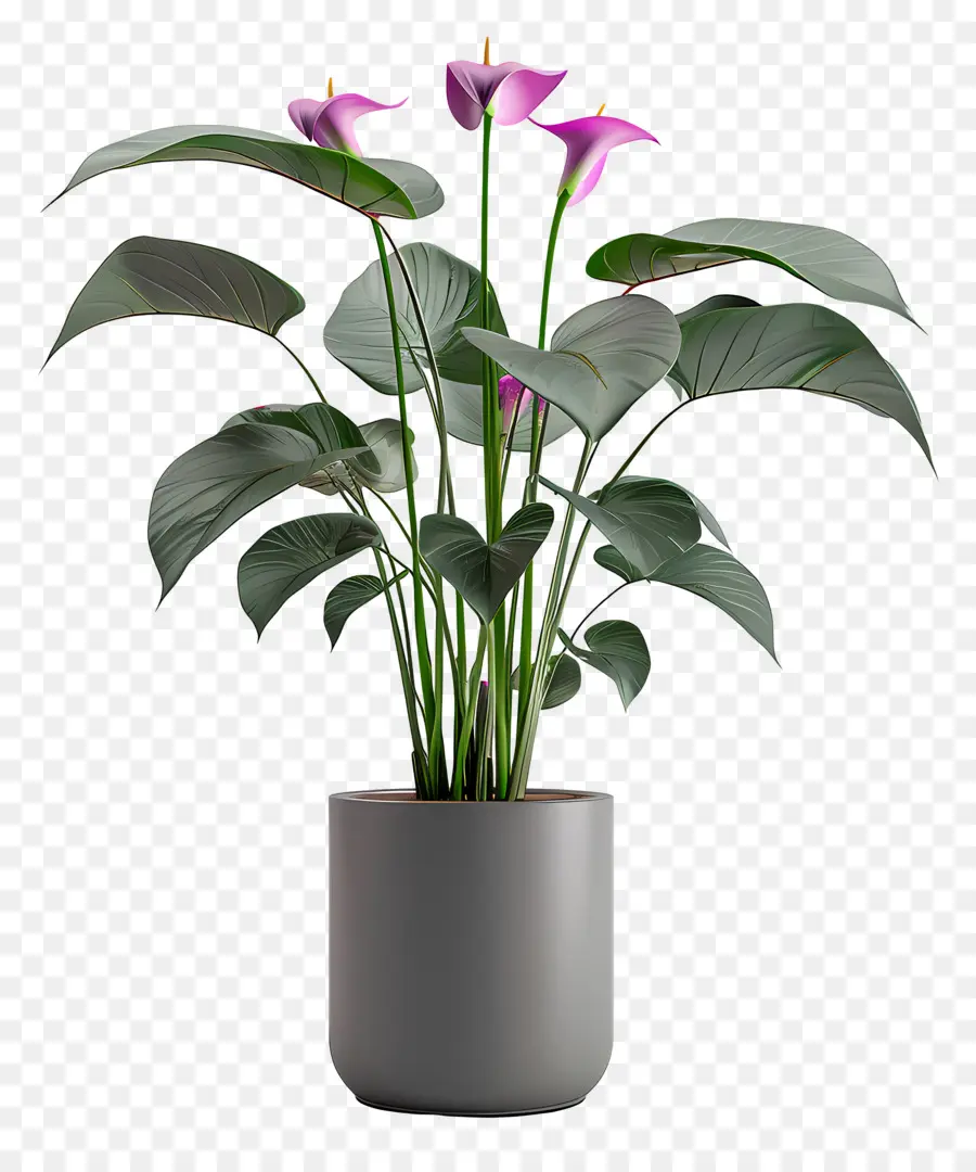 Planta Florescendo Em Vaso，Planta Em Vaso PNG