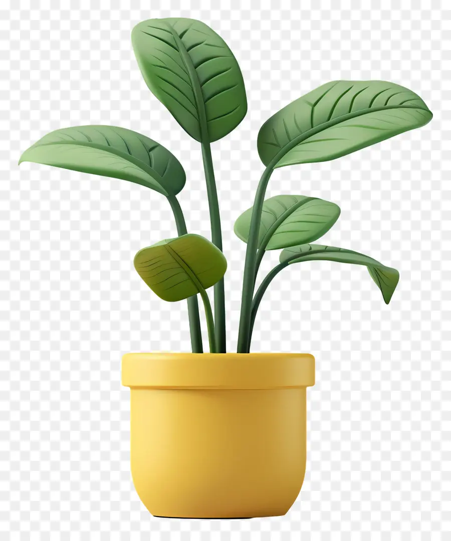 Planta Em Vaso，Planta Verde PNG