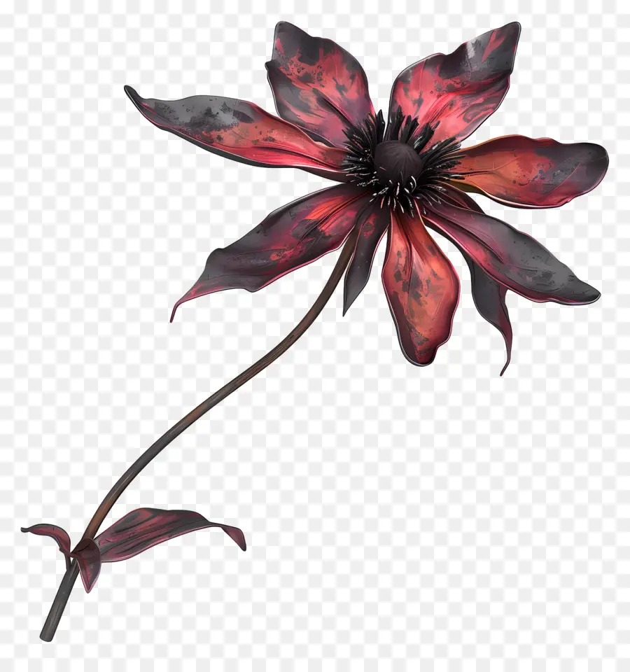 Flor Morta，Flor Murcha PNG