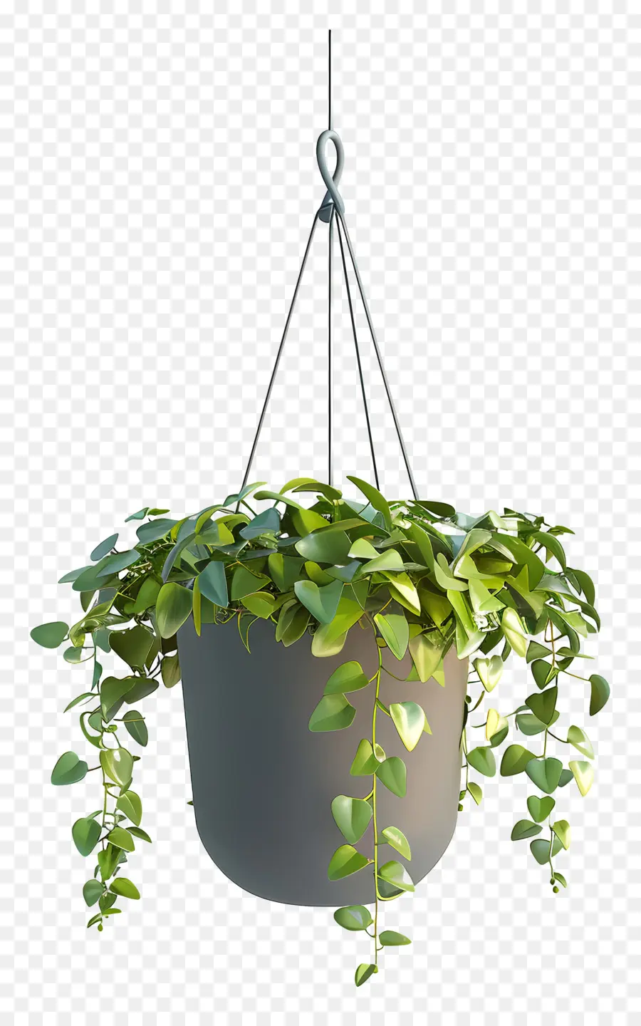 Planta Suspensa，Pote PNG