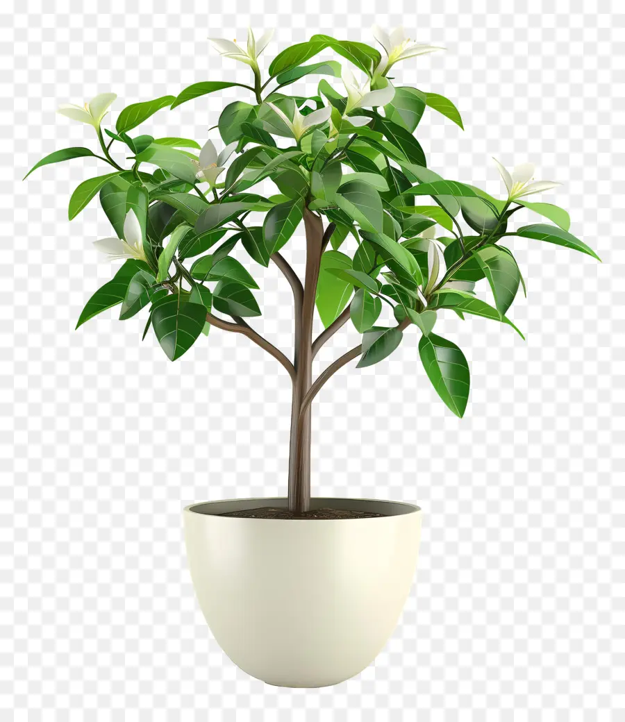 Planta Florescendo Em Vaso，Planta Em Vaso PNG