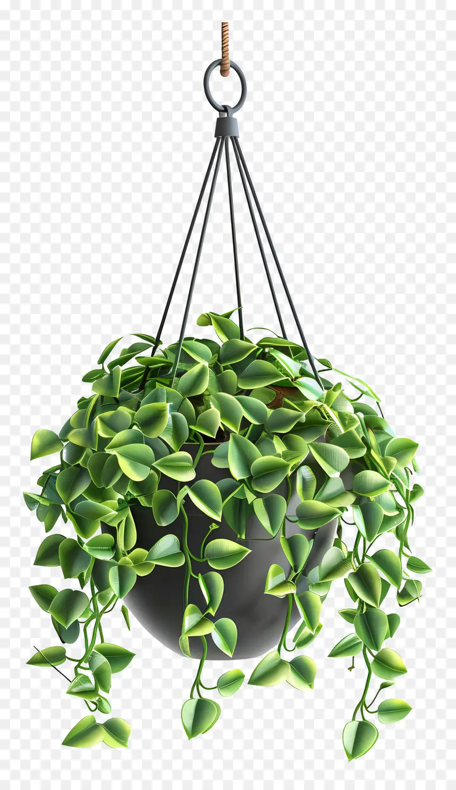 Planta Suspensa，Folhas Verdes PNG