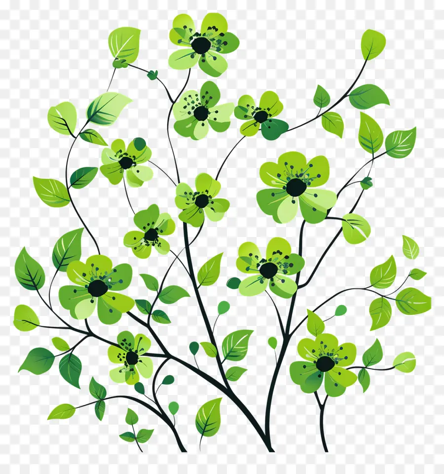 Flores Verdes，Folhas PNG