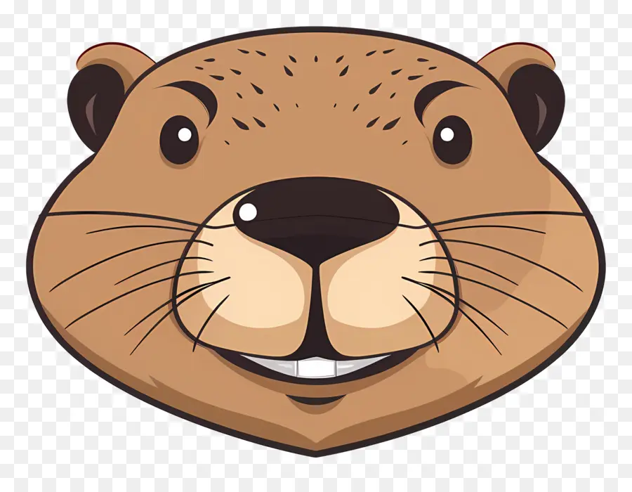 Cara De Castor，Lontra PNG