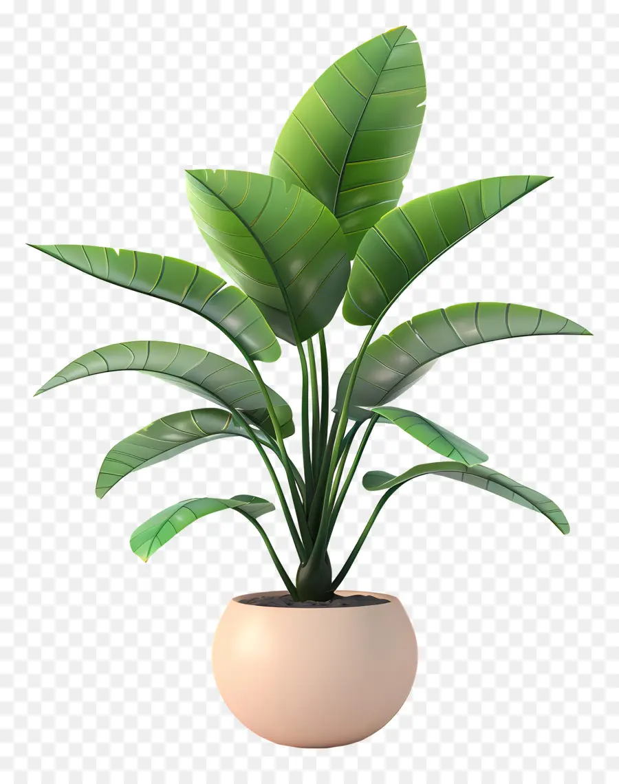 Planta Tropical Em Vaso，Planta Em Vaso Verde PNG