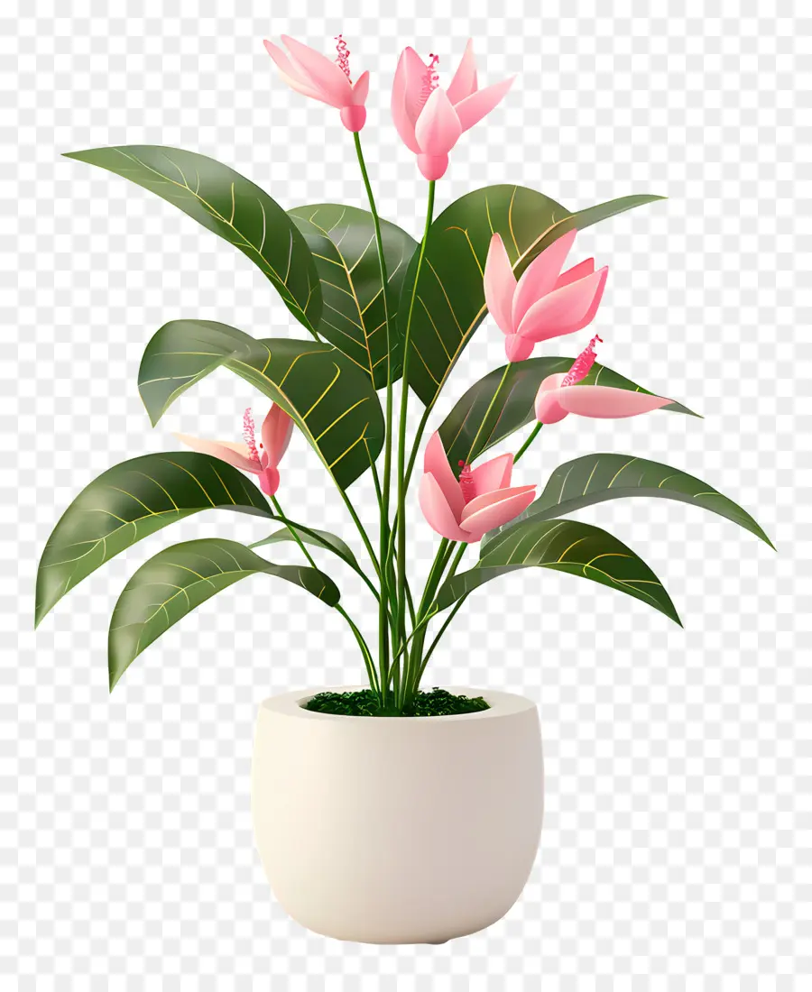 Planta Florescendo Em Vaso，Flores Cor De Rosa PNG