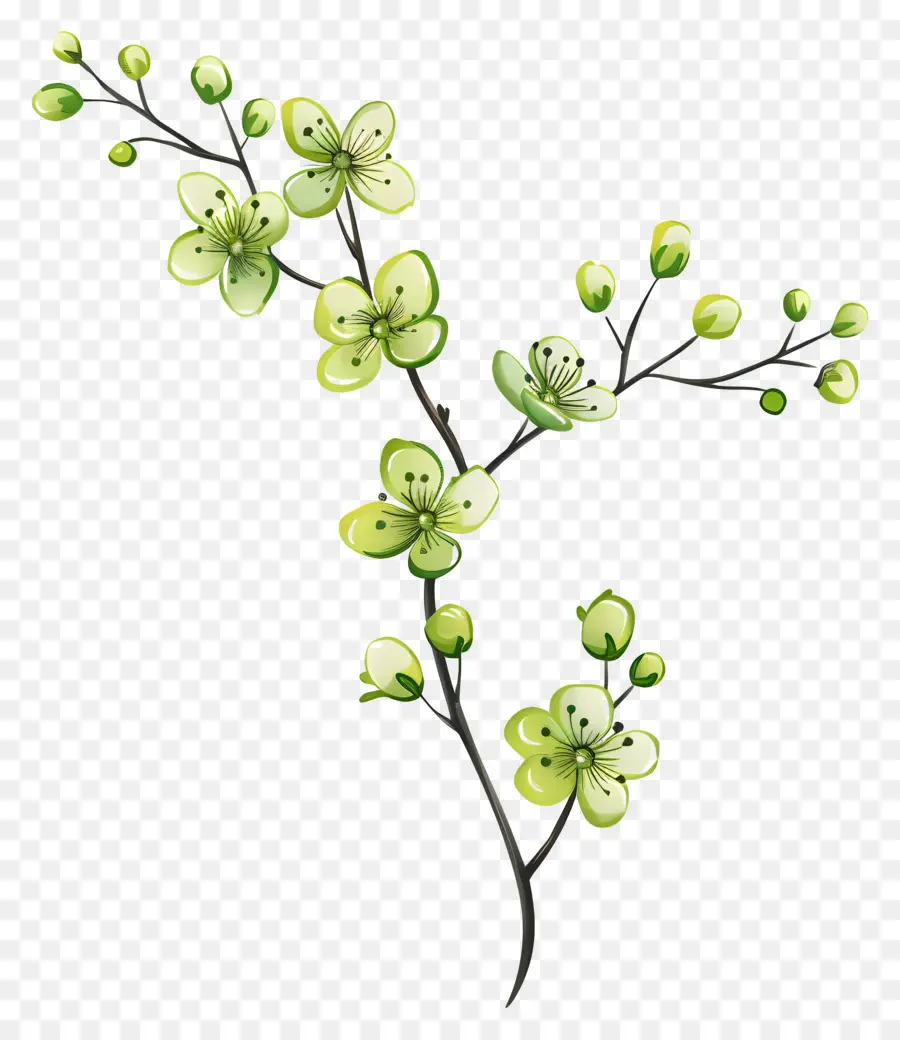 Flor Verde，Flores Verdes PNG