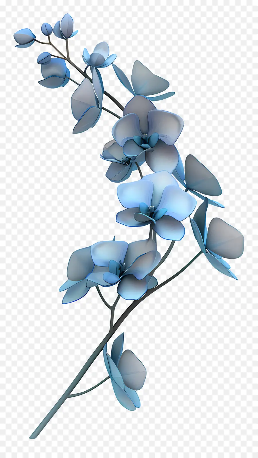 Orquídea Azul，Flores Azuis PNG