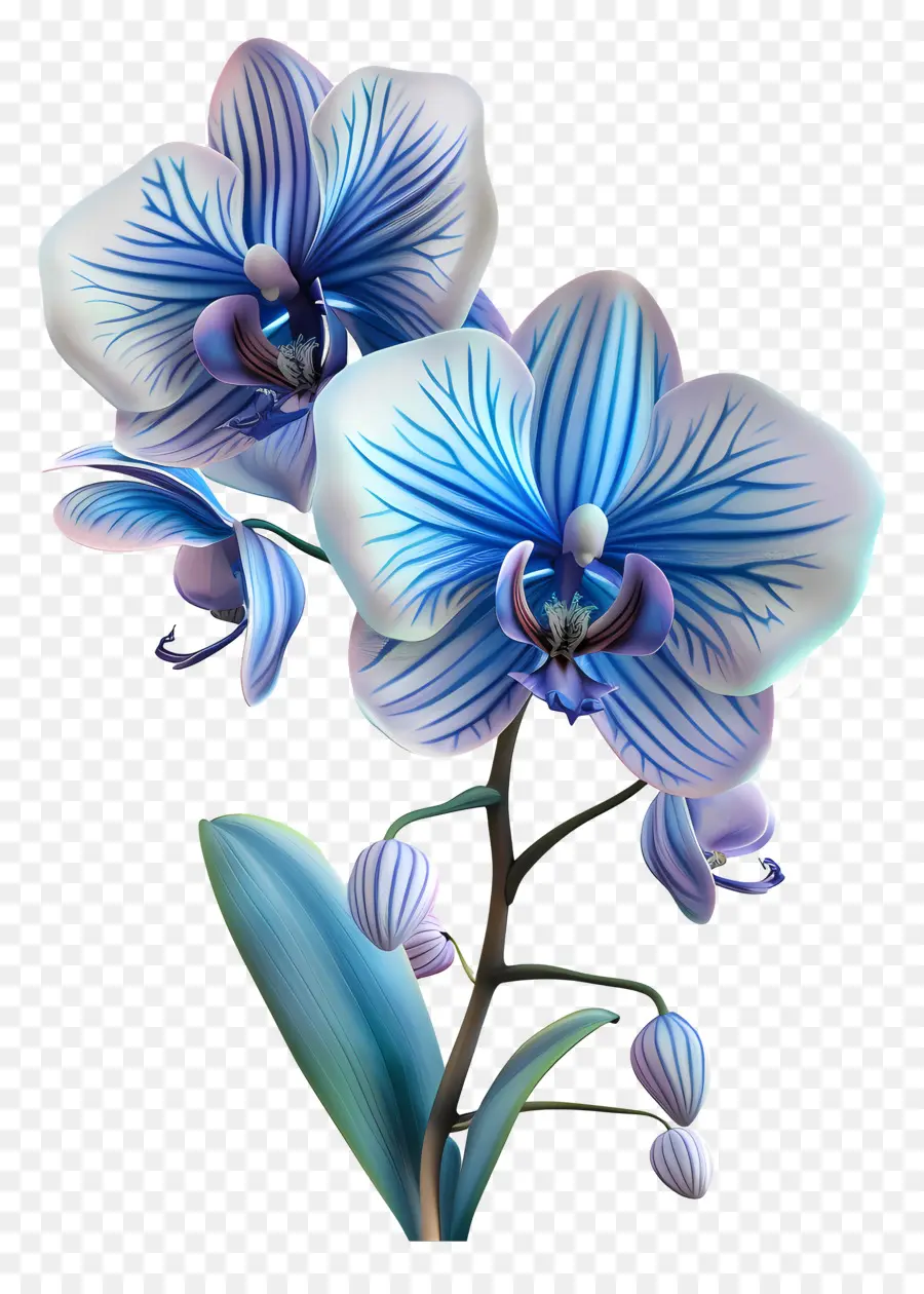 Orquídea Azul，Pétalas PNG