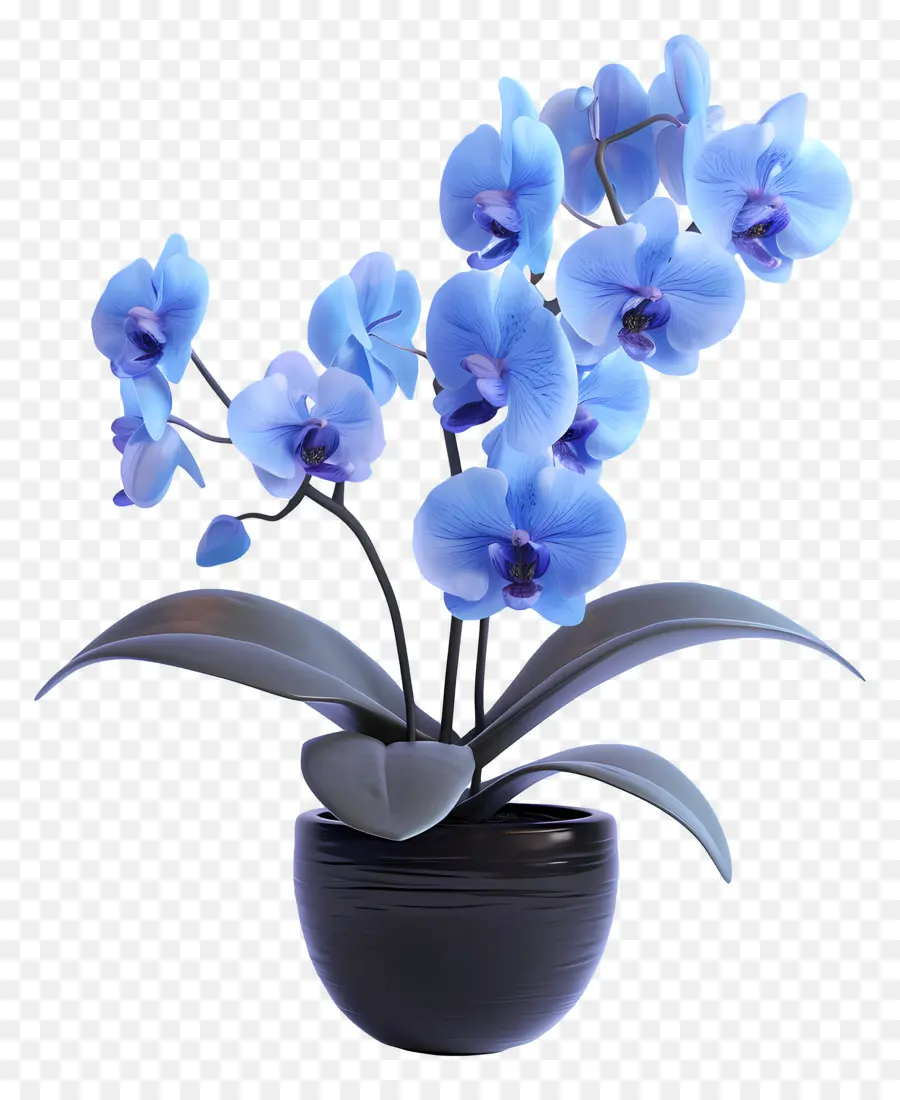 Orquídea Azul，Orquídeas Azuis PNG