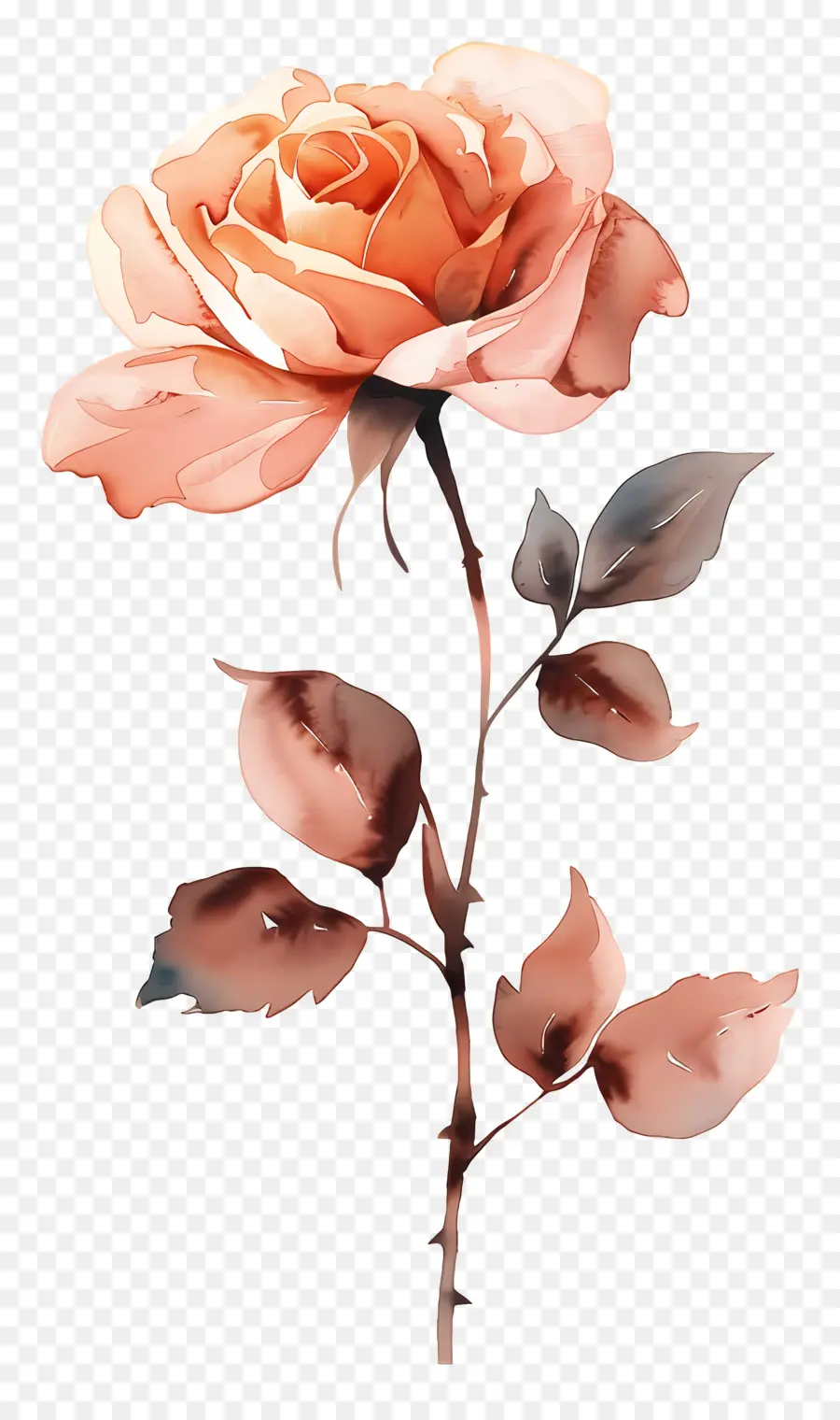 Flor Rosa，Flor Vermelha PNG