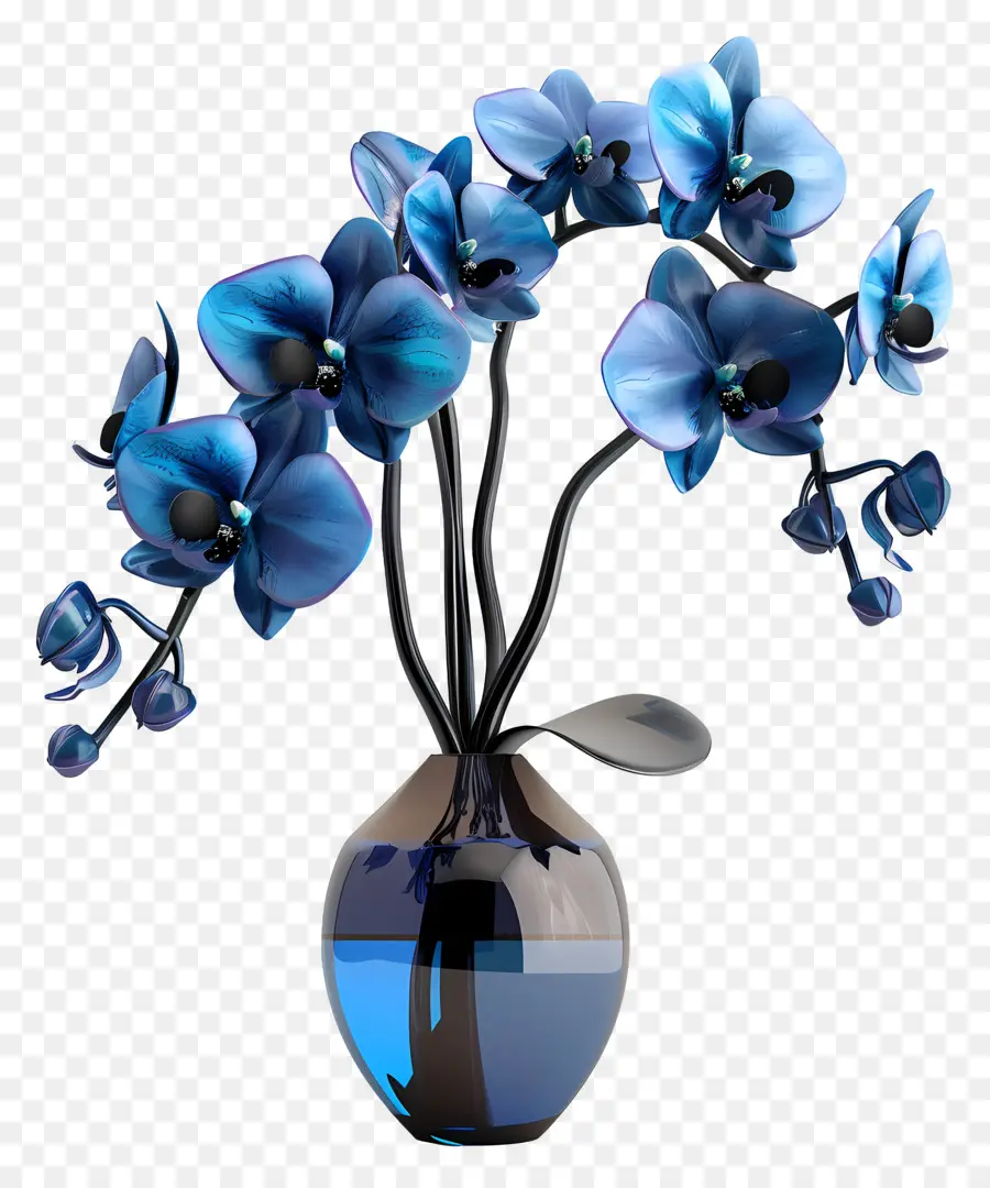 Orquídea Azul，Orquídeas Azuis PNG