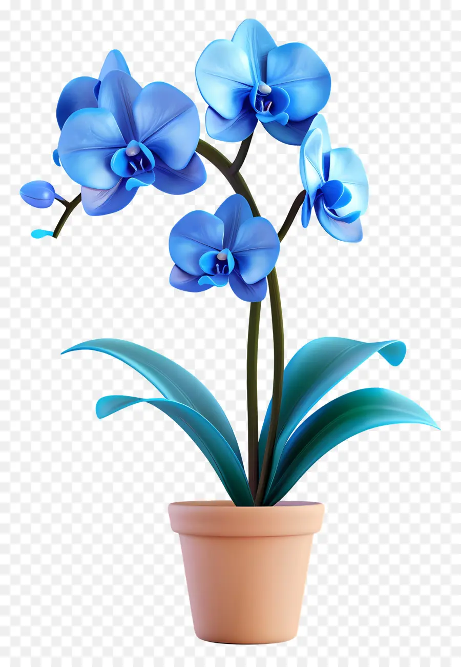 Orquídea Azul，Orquídea Em Vaso PNG