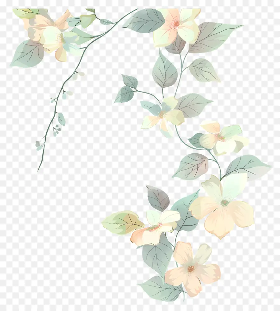 Flores Pastel，Desenho Floral PNG