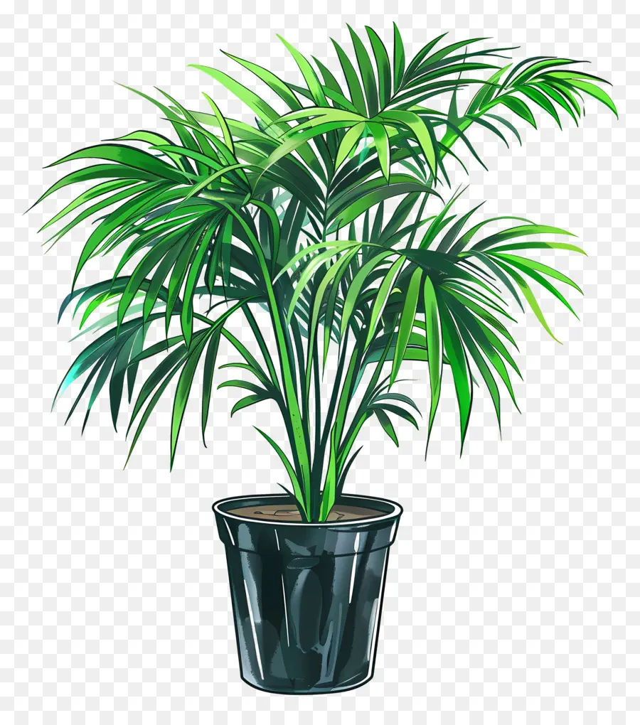 Palmeira De Salão，Planta Em Vaso Verde PNG