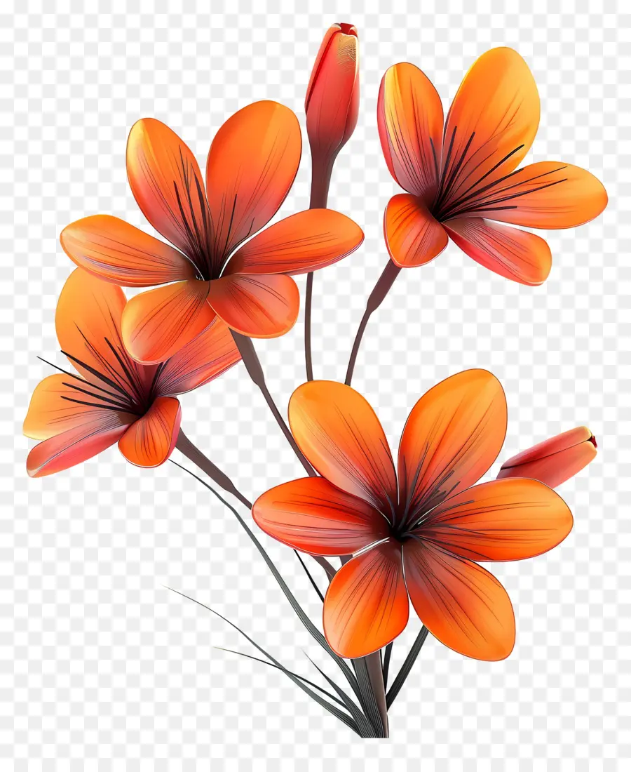 Flores De Açafrão，Flores Laranja PNG