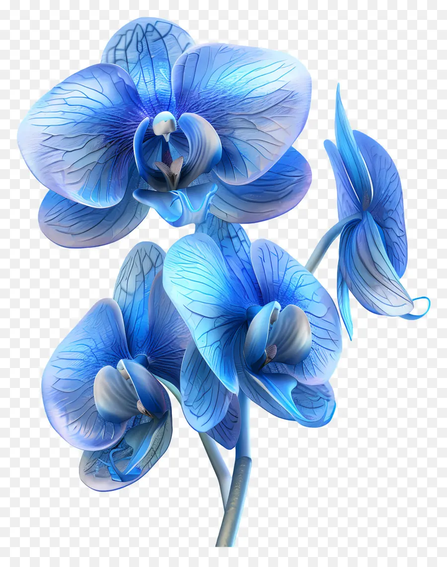 Orquídea Azul，Pétalas PNG